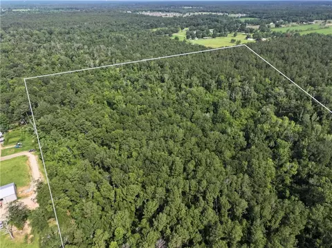 Ellis Blvd Boulevard, Loranger, LA 70446 photo 3