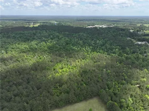 Ellis Blvd Boulevard, Loranger, LA 70446 photo 2