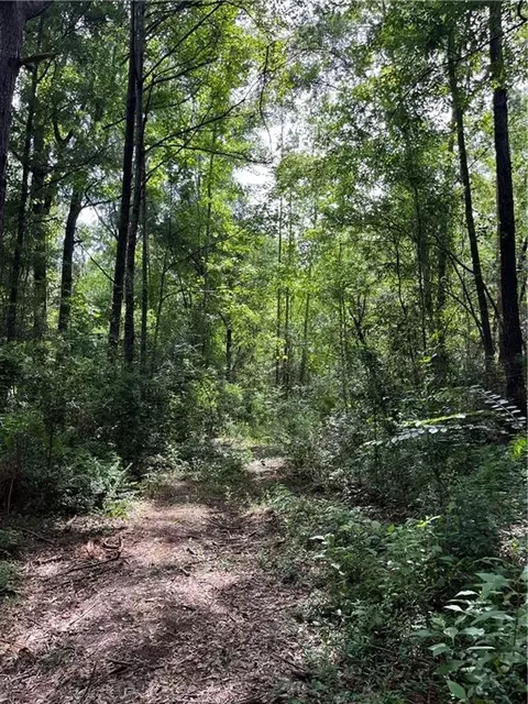 Ellis Blvd Boulevard, Loranger, LA 70446 photo 18