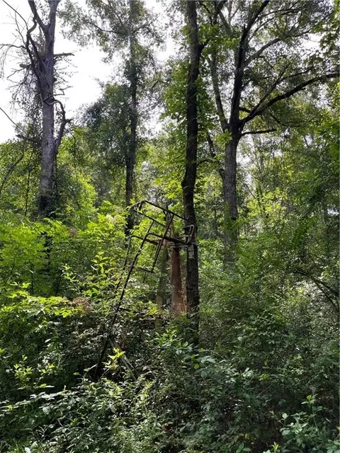 Ellis Blvd Boulevard, Loranger, LA 70446 photo 19