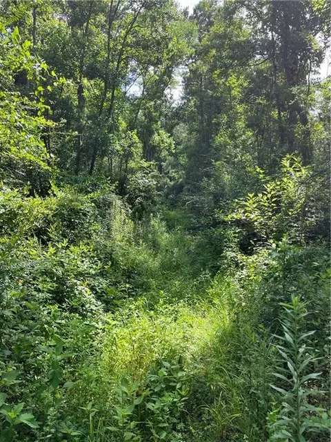 Ellis Blvd Boulevard, Loranger, LA 70446 photo 22
