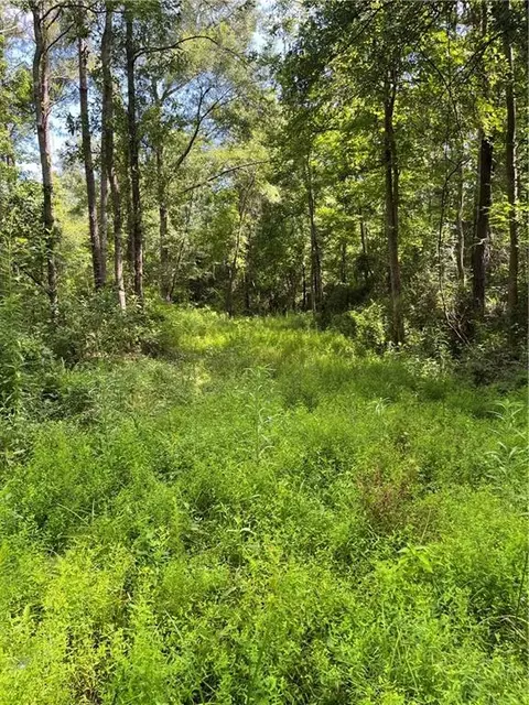 Ellis Blvd Boulevard, Loranger, LA 70446 photo 20