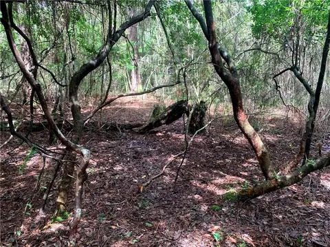 lot23 Five Acre Farms, Mandeville, LA 70471