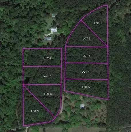 lot6 Hubert Stilley Rd, Independence, LA 70443