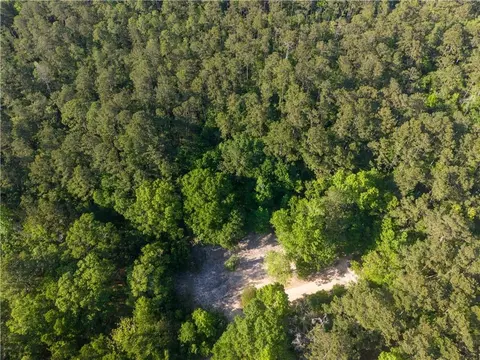 22251 Leemans Rd, Abita Springs, LA 70420