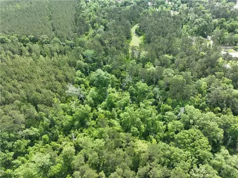Shadow Lake Drive, Holden, LA 70744