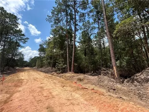 0 Pellegrin Dr, Covington, LA 70435 photo 4