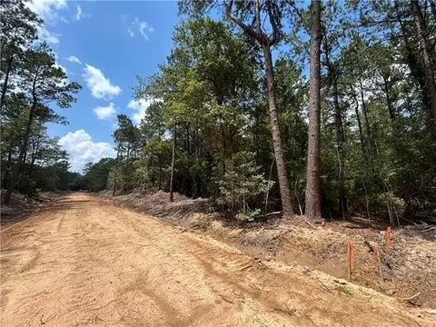 0 Pellegrin Dr, Covington, LA 70435 photo 5