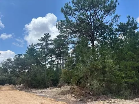 0 Pellegrin Dr, Covington, LA 70435 photo 3