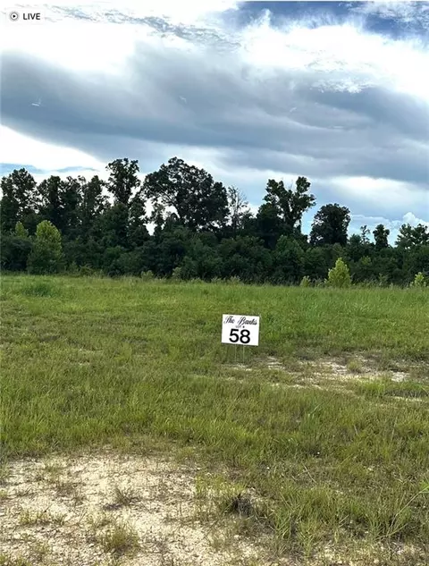 lot58 The Banks Drive - Hwy 16 Hwy, Franklinton, LA 70438