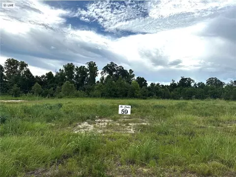 lot59 The Banks Drive - Hwy 16 Hwy, Franklinton, LA 70438