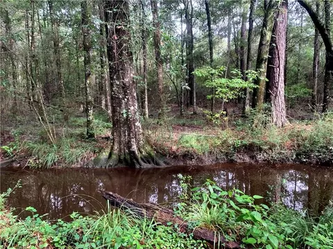 lot24 Five Acre Farms, Mandeville, LA 70471