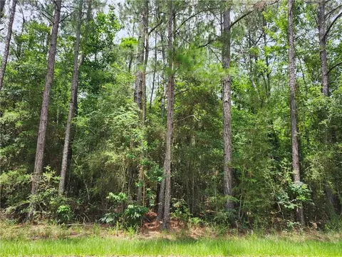 941 Albert St, Mandeville, LA 70448