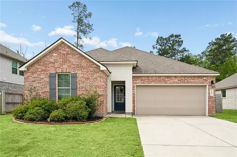 24228 Water Tupelo Rd, Ponchatoula, LA 70454