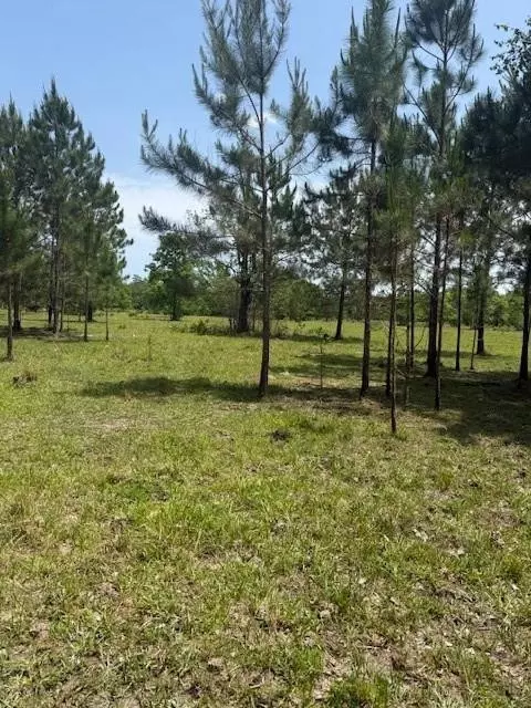 Boyd Road, Covington, LA 70435 photo 5