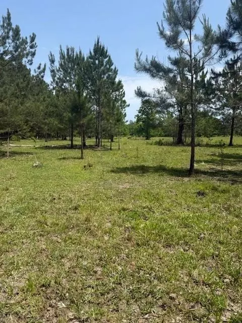 Boyd Road, Covington, LA 70435 photo 6