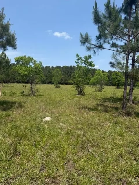 Boyd Road, Covington, LA 70435 photo 4