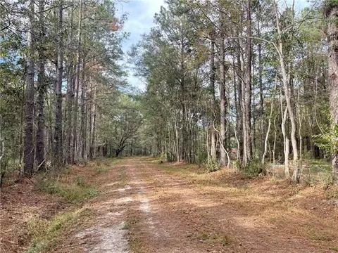 37285 Dummyline Rd, Pearl River, LA 70452