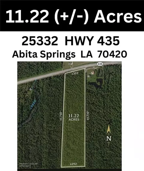 25332 Hwy 435 Hwy, Abita Springs, LA 70420
