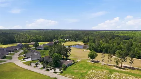 View/Area - 30700 Blue Wing Cres, Springfield, LA 70462 photo 1 of 3