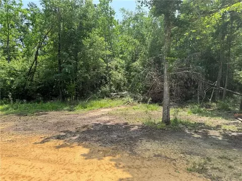 Exterior - 29520 Lindas Haven Rd, Springfield, LA 70462 photo 5 of 6