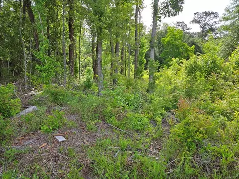 Daisy Street, Covington, LA 70435