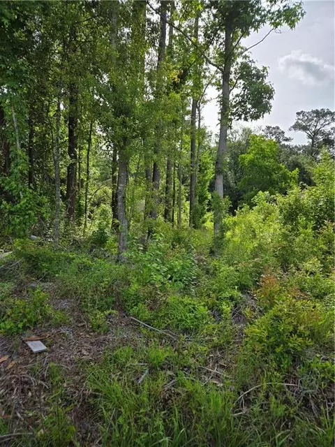 Daisy Street, Covington, LA 70435 photo 5