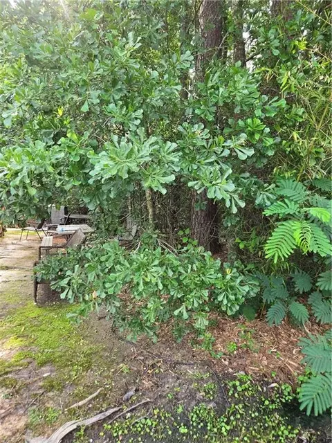 Daisy Street, Covington, LA 70435