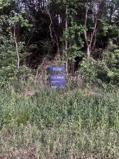 Chapman Drive, Abita Springs, LA 70420