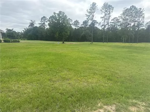 30684 Blue Wing Cresent, Springfield, LA 70462