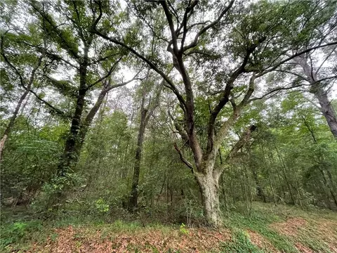 Bruhl Road, Folsom, LA 70437