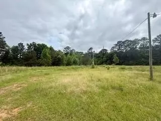 35030 Sunny Hill Rd, Mount Hermon, LA 70450