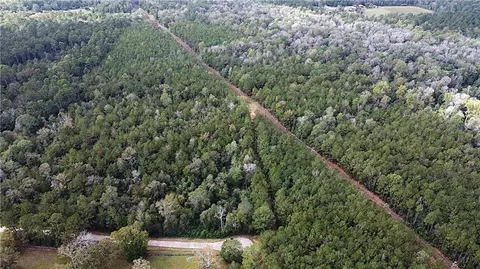 49 Acres Holliday Rd, Folsom, LA 70437