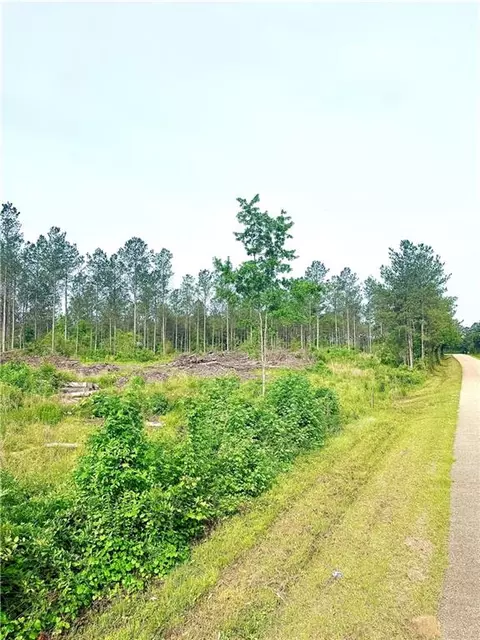 lot3 Tbd Lee Rd, Franklinton, LA 70438