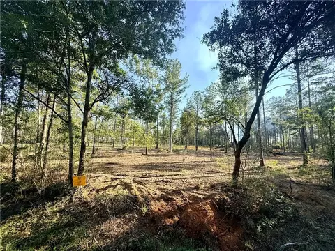 lot4 Tbd Lee Rd, Franklinton, LA 70438