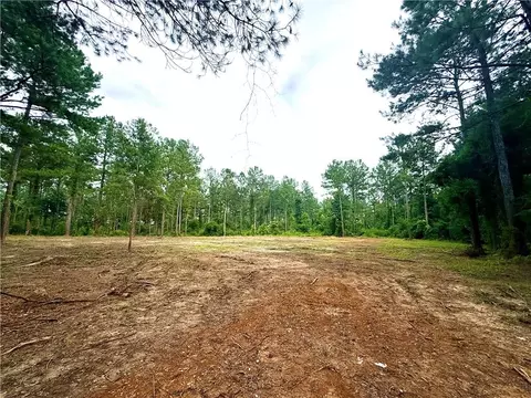 lot5 Tbd Lee Rd, Franklinton, LA 70438
