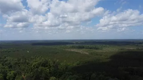 26341 Satsuma Rd, Livingston, LA 70754