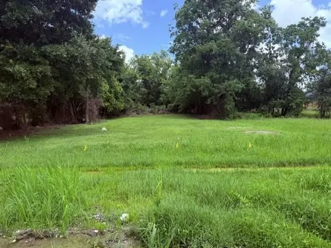 2917 Live Oak St, New Orleans, LA 70118