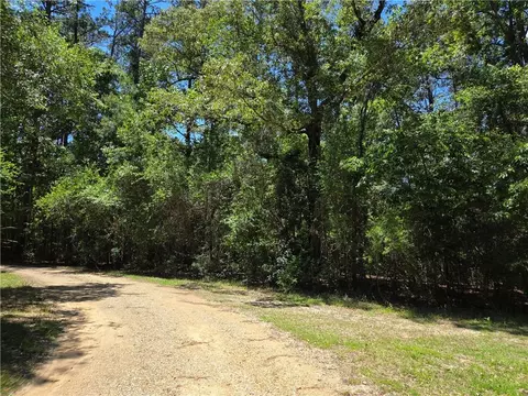 Exnicios Drive, Folsom, LA 70437