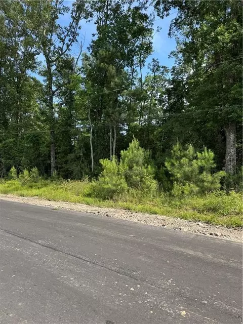 Tract 1-c Lower Rome Road, Springfield, LA 70462