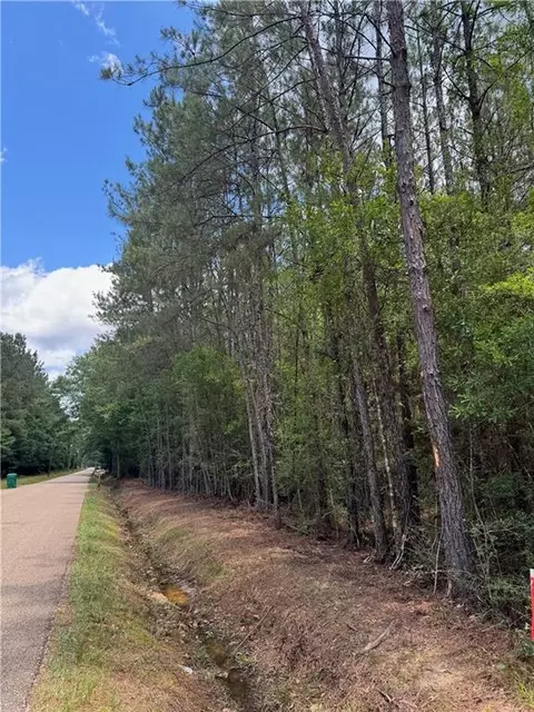 tbd Lavinghouse Rd, Bush, LA 70431