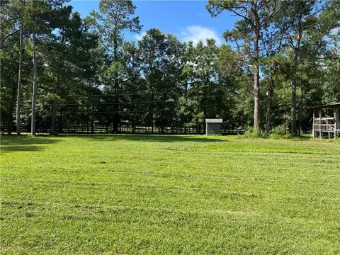 76081 Green Valley Rd, Folsom, LA 70437