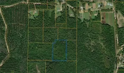 Nhn Will Roberts Road, Angie, LA 70426