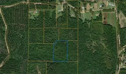 Nhn Will Roberts Road, Angie, LA 70426