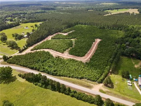 Parcel 1 436 Highway, Franklinton, LA 70438
