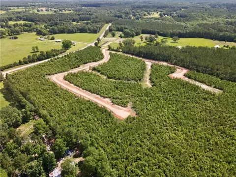 Parcel 3 436 Highway, Franklinton, LA 70438