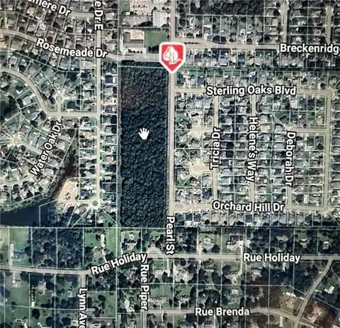 Pearl Acres Road, Slidell, LA 70461