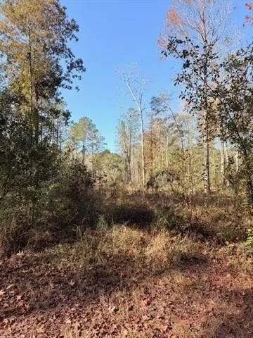 42217 Pasqua Rd, Ponchatoula, LA 70454