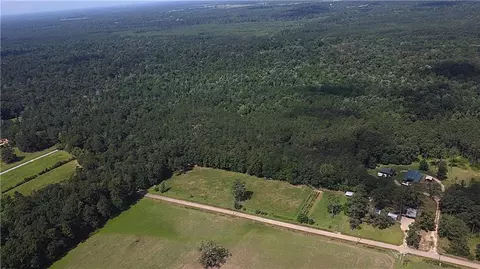 71 Acres Pierre Cemetery Rd, Folsom, LA 70437