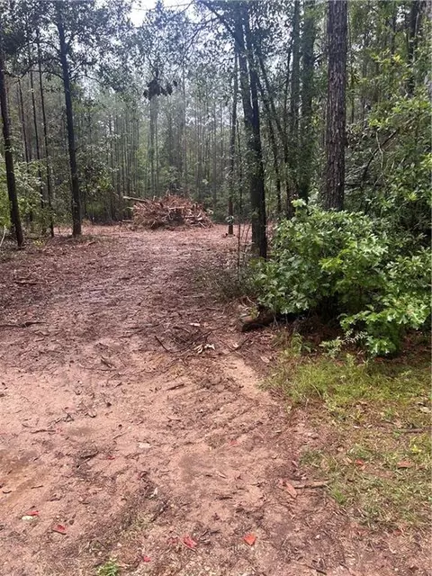 tbd Bennett Rd, Independence, LA 70443 photo 2